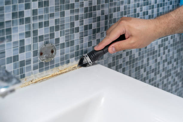 Best Local Mold Removal Service  in Butler, OH