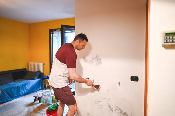 Best Home Mold Removal  in Butler, OH