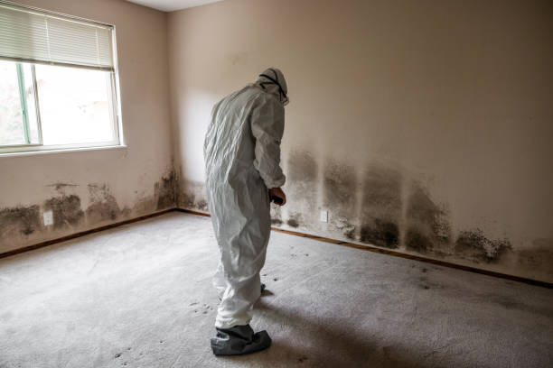 Best Emergency Mold Removal  in Butler, OH